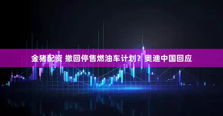 金猪配资 撤回停售燃油车计划？奥迪中国回应
