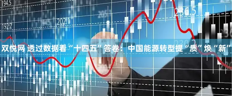 双悦网 透过数据看“十四五”答卷：中国能源转型提“质”焕“新”