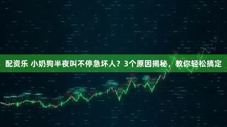 配资乐 小奶狗半夜叫不停急坏人？3个原因揭秘，教你轻松搞定