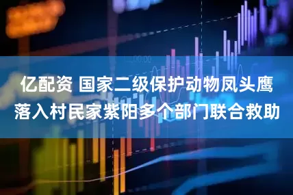 亿配资 国家二级保护动物凤头鹰落入村民家紫阳多个部门联合救助