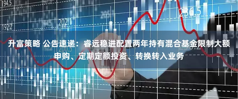 升富策略 公告速递：睿远稳进配置两年持有混合基金限制大额申购、定期定额投资、转换转入业务