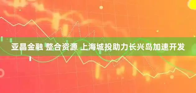 亚晶金融 整合资源 上海城投助力长兴岛加速开发