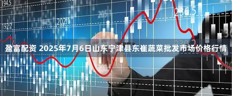 盈富配资 2025年7月6日山东宁津县东崔蔬菜批发市场价格行情