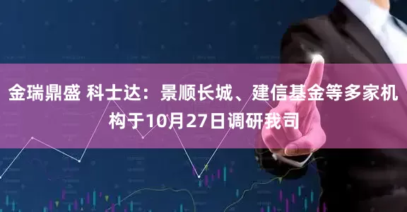 金瑞鼎盛 科士达：景顺长城、建信基金等多家机构于10月27日调研我司
