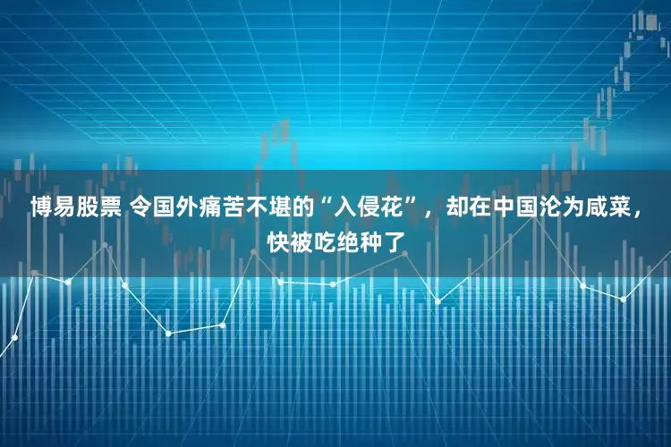 博易股票 令国外痛苦不堪的“入侵花”，却在中国沦为咸菜，快被吃绝种了